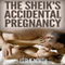 The Sheik's Accidental Pregnancy: The Botros Brothers Series, Book 1