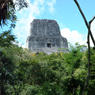 Guatemala's Tikal National Park - Animals and Plants: Audio Journeys