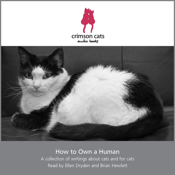 How to Own a Human: A Collection of Writings about Cats and for Cats