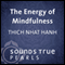 Energy of Mindfulness: Entering the Heart of Reality