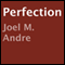 Perfection (Unabridged) audio book by Joel M. Andre