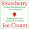 Strawberry Ice Cream (Unabridged) audio book by Will Bevis