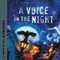 A Voice in the Night: Tom and Ricky Mystery Series, Set 2 (Unabridged) audio book by Bob Wright