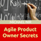 Agile Project Management: Agile Business Leadership, Book 2 (Unabridged) audio book by Michael Nir