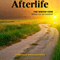 Afterlife: The Jewish View (Unabridged) audio book by Jonathan Morgenstern, Sholom Kamenetsky