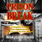 Prison Break: A Couples Journey Into Righteousness and Beyond the Prison Walls (Unabridged) audio book by Nikkyea Williams