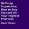 Defining Importance: How to Stay Focused on Your Highest Priorities (Unabridged) audio book by David Harper