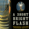 A Short Bright Flash: Augustin Fresnel and the Birth of the Modern Lighthouse (Unabridged) audio book by Theresa Levitt