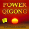 Power Qigong. Strkt die Organe, beruhigt den Geist (Best of Lotus-Press) audio book by div.