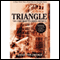 Triangle: The Fire That Changed America (Unabridged) audio book by David Von Drehle