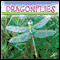 Dragonflies (Unabridged) audio book by Jason Cooper