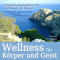 Wellness fr Krper und Geist. 2 Entspannungseinheiten zum Wohlfhlen und Relaxen audio book by Franziska Diesmann
