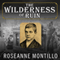 The Wilderness of Ruin: A Tale of Madness, Fire, and the Hunt for America's Youngest Serial Killer (Unabridged) audio book by Roseanne Montillo