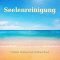 Seelenreinigung audio book by Michael Bauer