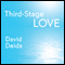 Third-Stage Love: Let Your Hurt Show and Your Heart Shine audio book by David Deida
