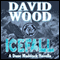 Icefall: A Dane Maddock Adventure, Book 4