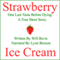 Strawberry Ice Cream