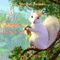 Ozette's Destiny: Tales from Farlandia, Volume 1
