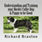 Understanding and Training Your Border Collie Dog & Puppy to Be Good