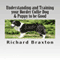 Understanding and Training Your Border Collie Dog & Puppy to be Good