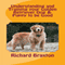 Understanding and Training your Golden Retriever Dog & Puppy to be Good