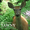 Tawny