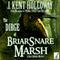 The Dirge of Briarsnare Marsh: A Dark Hollows Mystery, Book 2