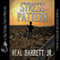 Stress Pattern