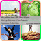 Visualize the Life You Want: Money, Success, & Confidence Hypnosis Collection