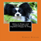 How to Train and Understand Your Papillon Puppy & Dog