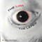 The Liar the Leper
