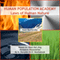 Human Population Academy: Laws of Human Nature Based on Shan Hai Jing Research Discoveries by A. Davydov & O. Skorbatyuk