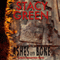 Ashes and Bone (A Southern Mystery): Delta Crossroads, Book 3