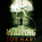 The Waiting: A Supernatural Thriller
