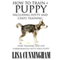 How to Train a Puppy Including Potty and Crate Training: Start Training and Live Harmoniously with Your Puppy