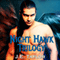 Night Hawk Trilogy: Night Hawk Series, Book 0