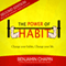 The Power of Habit: How to Create Good Habits & Break Bad Habits