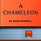 A Chameleon (Annotated)