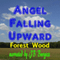 Angel Falling Upward