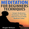 Meditation for Beginners Techniques: Simple Meditation Techniques That Will Help You Successfully Meditate Today