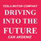 Driving into the Future: How Tesla Motors and Elon Musk Did It - The Disruption of the Auto Industry