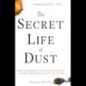 The Secret Life of Dust: From the Cosmos to the Kitchen Counter, the Consequences of Little Things