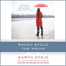 Raven Stole the Moon: A Novel