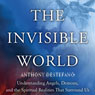 Angels All Around Us: A Sightseeing Guide to the Invisible World