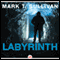 Labyrinth