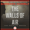 The Walls of Air: The Darwath Trilogy, Book 2
