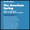 The American Spring: What We Talk About When We Talk About Revolution