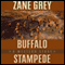 Buffalo Stampede: A Western Story
