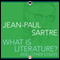 What Is Literature?: And Other Essays