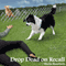 Drop Dead on Recall: Animals in Focus Mysteries, Book 1